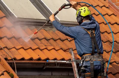 Démoussage et hydrofuge de toiture à Montrouveau